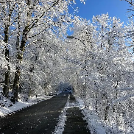Apartament Gruener Weg Mit Chill- Und Grillplatz *