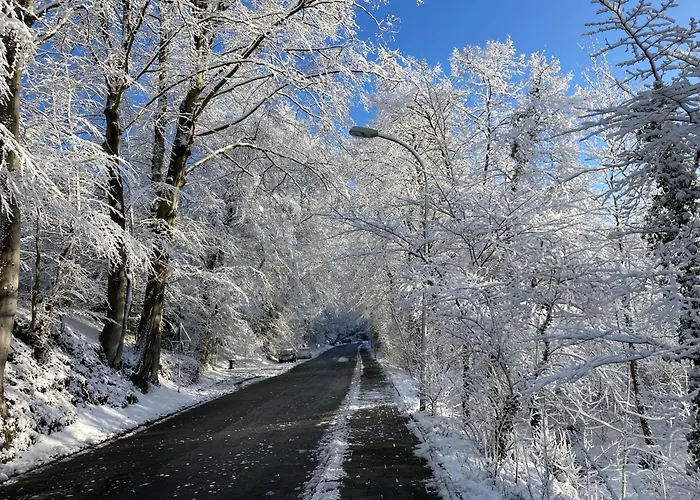 Appartement Gruener Weg Mit Chill- Und Grillplatz *
